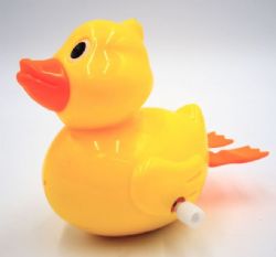 *25 CANARD À REMONTOIR